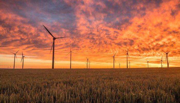 windmills, fields, sunset-1838788.jpg